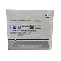 万孚Wondfo 乙型流感病毒抗原检测试剂(胶体金法) 20人份/盒